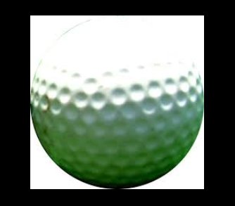 SGS Athletics Golf Outing