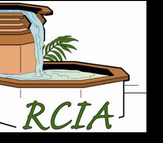 RCIA -- RICA