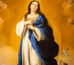 Solemnity of the Immaculate Conception