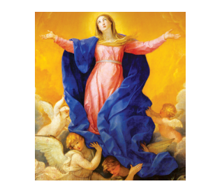 Assumption of Our Blessed Mother (Aug 15)