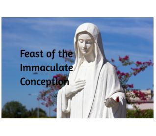 Immaculate Conception 