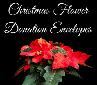 Christmas Flowers & Environment