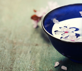 CATHOLIC RELIEF SERVICES