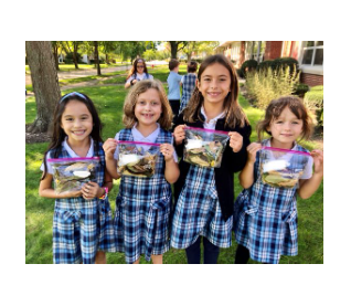 St. Norbert School -  Crusader Annual Fund