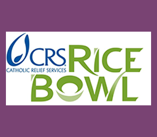 Rice Bowls