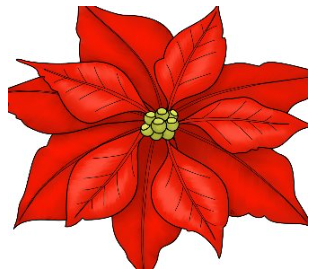 Christmas Flowers 2023