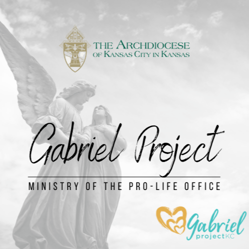 Gabriel Project