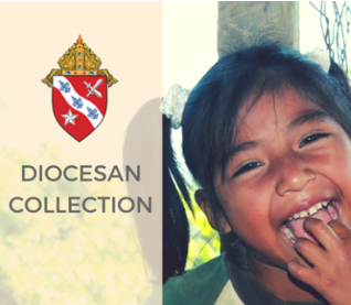 Collection For Central America (DIOCESAN)  - January 8-9, 2022
