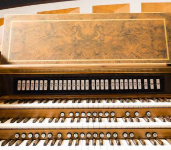 Organ Restoration