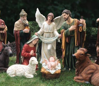 Christmas Flowers & Nativity Collection