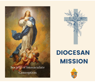 St Francis Xavier - Diocesan Mission 2nd Collection 