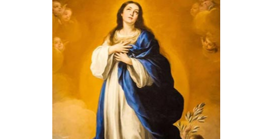Immaculate Conception