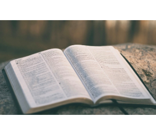 Scripture Study Summer 2023 - LETTERS