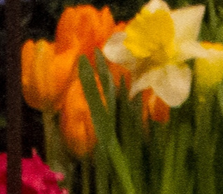 Easter Flowers for our Chapel 