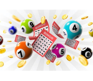 Bingo Night Option 2