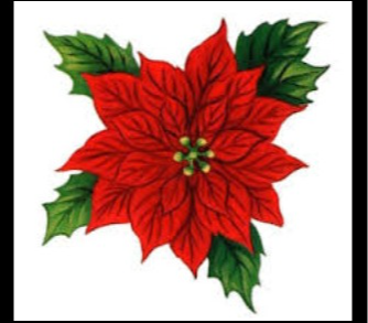 2023 Youth Ministry Poinsettia Fundraiser