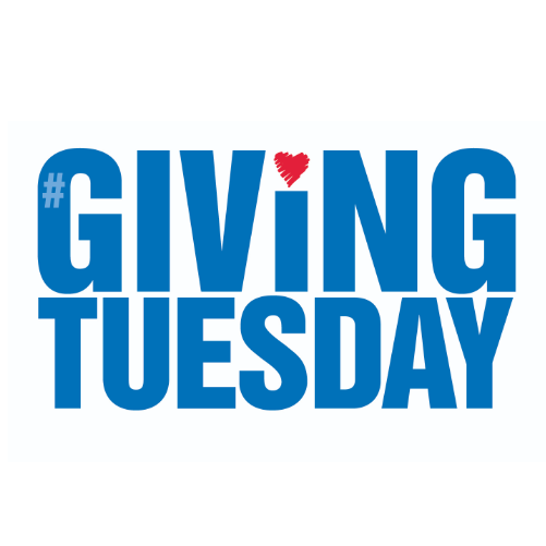 Apostles Catholic Education Endowment Giving Tuesday