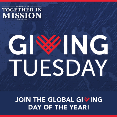 Camillus Center - Giving Tuesday 2023