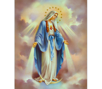 Solemnity of the Immaculate Conception of The Blessed Virgin Mary