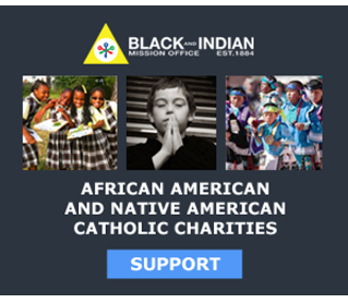 Black and Indian Missions