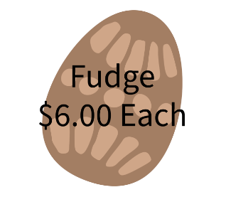 Fudge - Mission Trip Chocolate Eggs