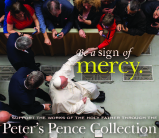 Peter's Pence Collection (June 28-29)