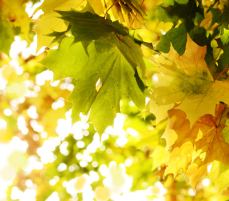 Giving Tuesday Test Parish Demo