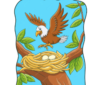 Dunes Trip Student Fee - $300