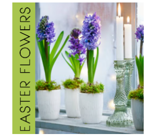 Easter Flowers