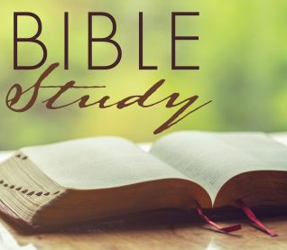 Bible Study Guides