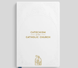 Bible Study - Catechism