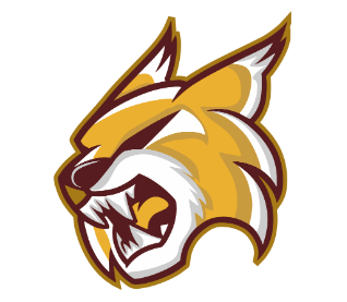 Wildcat Run Sponsorship ($1250-Wildcat Level ;  $650-Gold Level  ;  $250-Maroon Level ; $150-Family level)