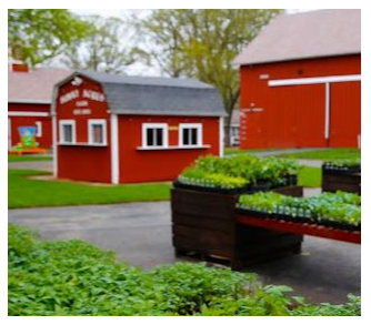 PK Field Trip - Sonny Acres Farm