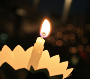 Memorials in Honor of Richard Guzior