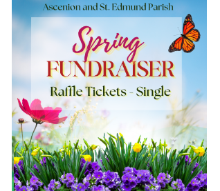 Spring Fundraiser: Raffle Single Ticket
