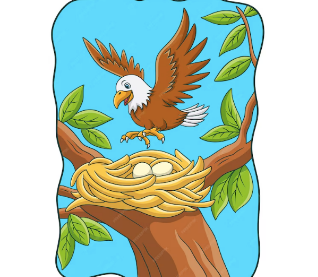 Dunes Trip - Chaperone Fee $50