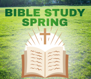 Bible Study - SPRING