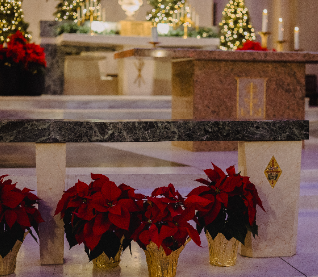 Christmas Flowers