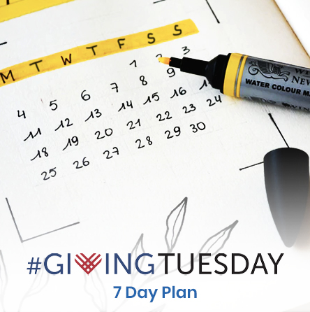 Giving Tuesday 7 Day Plan
